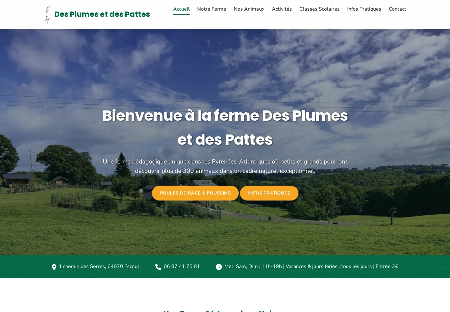 Le site de la ferme pédagogique Des Plumes et des Pattes à Escout, réalisé par Guillaume